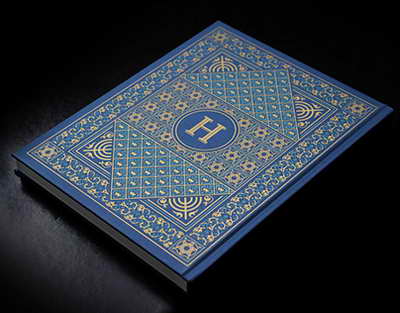 «Почему он не в колонии?»: Известный адвокат возмущена «щадящим» условным сроком для Навального